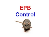Essex Pest Control and Bird Control 375157 Image 6